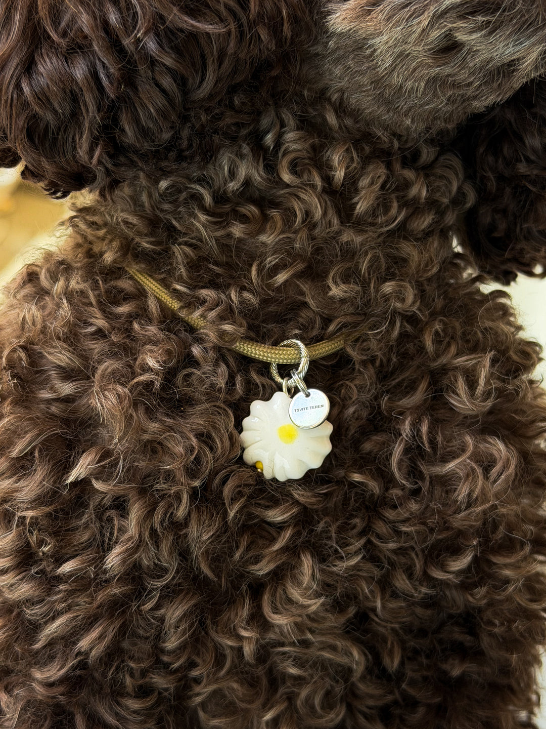 Підвіс для собак CAMOMILE на бежевому шнурку